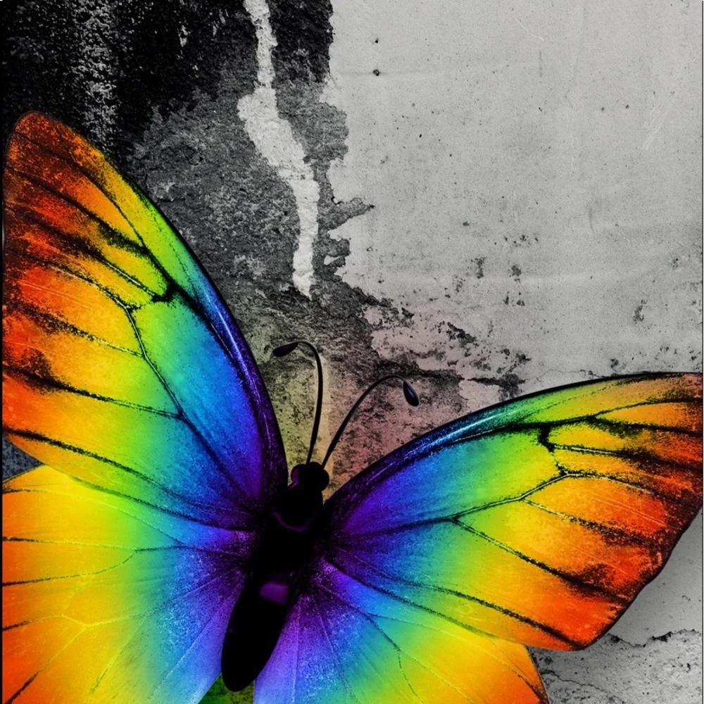 Look mom. It’s a butterfly - Picture 2 of 2